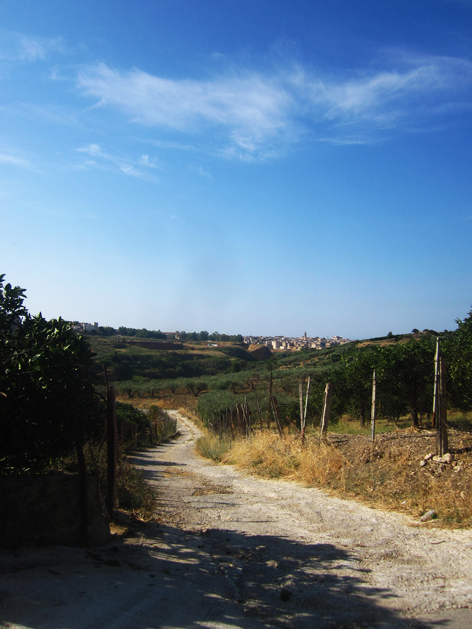 aranci6_ribera